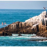 LA Vida Laguna LLC - Other in Laguna Beach