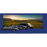 Limos of Napa - Limos in Napa