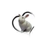 Bunny Bunch - Other in Fountain Valley