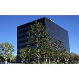 Bergen Robert C - Divorce & Family Law in Orange