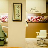 All Day Smile - Dentists in Anaheim