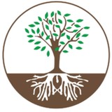 Specialized Tree Works Inc - Other in Silverado