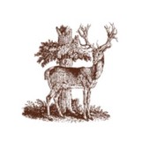 Arcadia Vineyards - Wineries in Napa