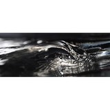 Scotty Carter Fine Art - Other in Laguna Hills