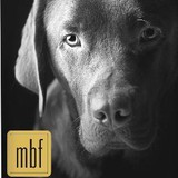 Mutt Lynch Winery - Wineries in Calistoga