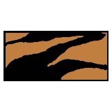 Zebra Net - Employment Agencies in Irvine