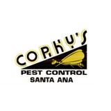 Pest Control Corkys - Pest Control in Santa Ana