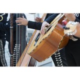 Mariachi Serenata Mexicana - Other in Indio