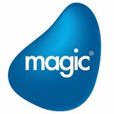 Magic Software Enterprises Inc - Other in Laguna Hills