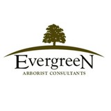Evergreen Arborists Consultant - Business Consulting in Costa Mesa