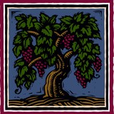 The Biale Estate - Other in Napa