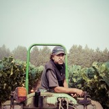 Failla Wines - Beer, Wine & Spirits in Saint Helena