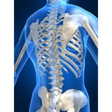 Belove Chiropractic - Chiropractors in Newport Beach