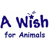 A Wish For Animals - Other in Dana Point