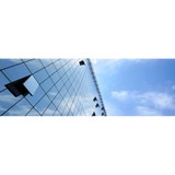 Dencoy Inc - Window Cleaning in Lakeside