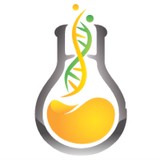 PhD Computing Inc - Web Design & Development in Ontario