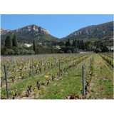 Northwinds Wine Consulting - Business Consulting in Temecula