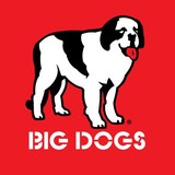 Big Dog Usa Inc - Other in Lake Arrowhead