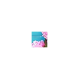 The Marketing Specialist - Marketing in Folsom