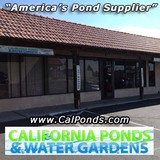 California Ponds & Water Gdn - Landscaping in Victorville