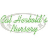 Affordable Decorative Rock Yard - Landscaping in Hesperia