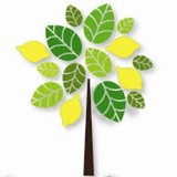Lemon Grove School District - Other in Lemon Grove