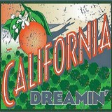 California Dreamin Balloon - Hot Air Balloons in Temecula