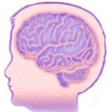 Child-Neuropsychologist - Psychologist & Counsellor in Sacramento