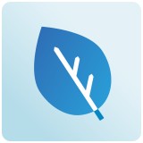 Performance Improvement International - Business Consulting in Oceanside