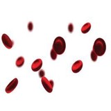 Genoptix Medical Laboratory - Laboratory Testing in Carlsbad