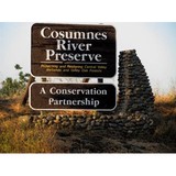 Cosumnes River Preserve - Other in Galt