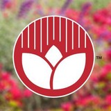 O'Connell Landscape Maintenance - Landscape Architects in Oceanside