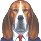 Salesdog Com - Marketing in Carlsbad