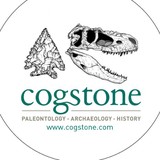 Cogstone Resource Management - Business Consulting in Ontario