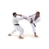 Tokon Martial Arts, LLC - Martial Arts in Sacramento