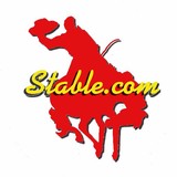 Lone Pine Corrals Inc - Other in Sun City