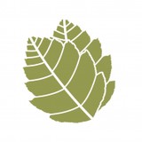 Progressive Landscape Maintenance - Landscape Architects in La Mesa
