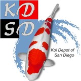 Kdsd - Other in Lakeside