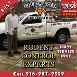 Specialized Pest Patrol - Pest Control in Folsom