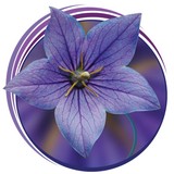 Hideaway Spa & Salon - Other in Big Bear Lake