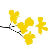 A-Xitlallis - Florists in Sacramento