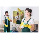 Burgos Janitorial Service - Other in Sun City