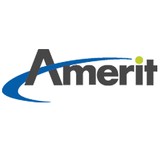 Amerit Consulting Inc - Business Consulting in Elk Grove