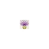 Visual Impact Design - Florists in Sacramento