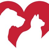 California Veterinary Specialists - Veterinarians/Vets in Murrieta
