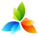 Deegel Web Design & SEO - Web Design & Development in Carlsbad