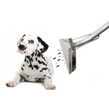 Lake Folsom Carpet Cleaning - Cleaning Services in Folsom