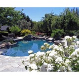 Neadho Landscaping - Landscaping in Fair Oaks