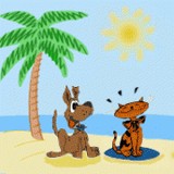 Coastal Pet Sitters Day Care - Pet Stores in Encinitas