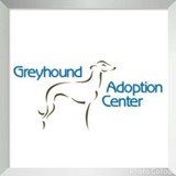 Greyhound Adoption Center - Adoption Services in La Mesa